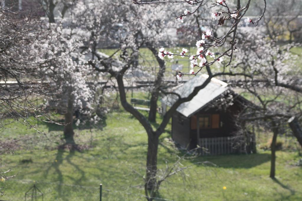 Donauwirt - Hotel Garni ไวส์เซินเคียร์เชิน อินแดร์ วาคเอา ภายนอก รูปภาพ